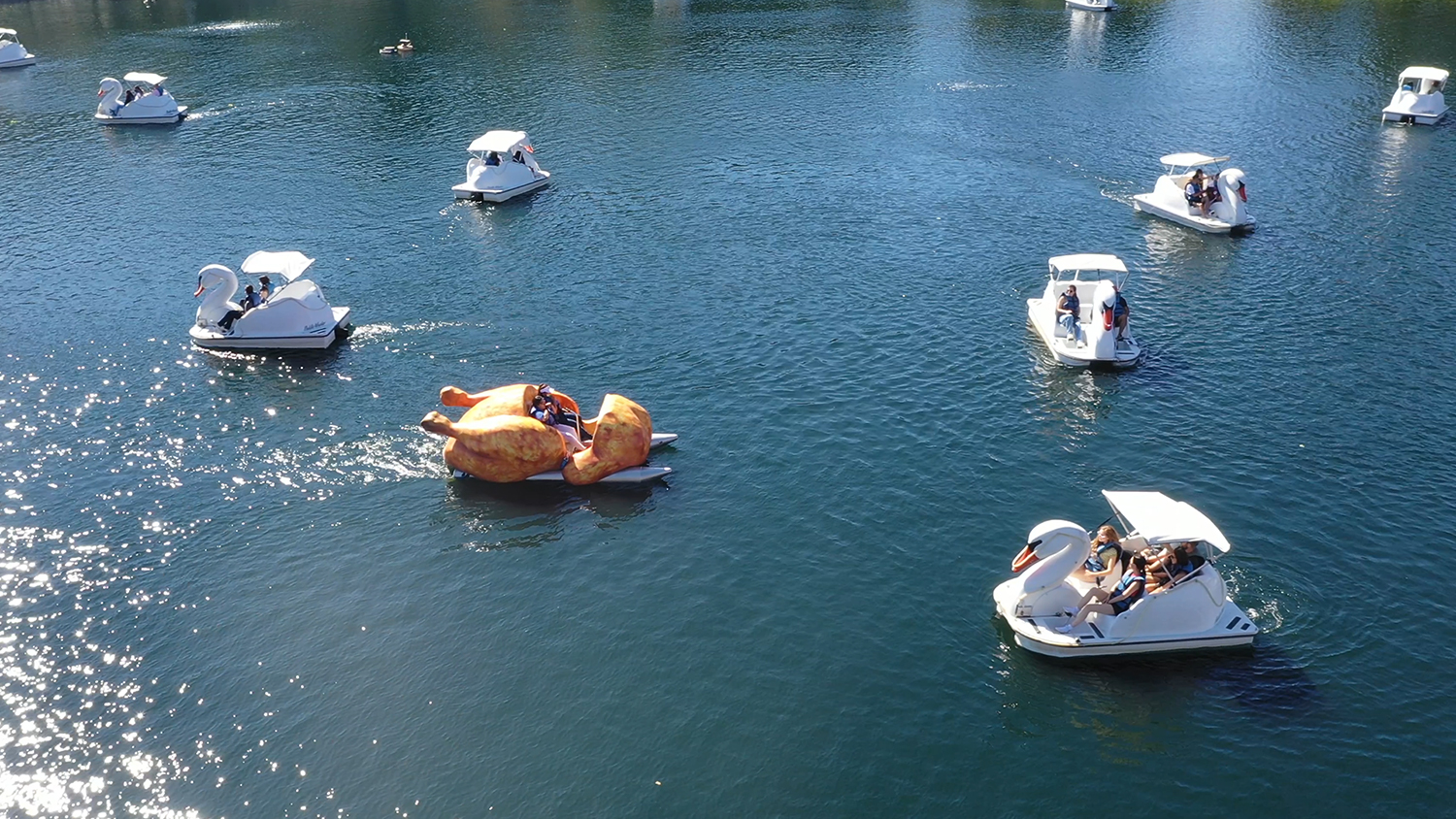 postmates rotisserie chicken paddle boat