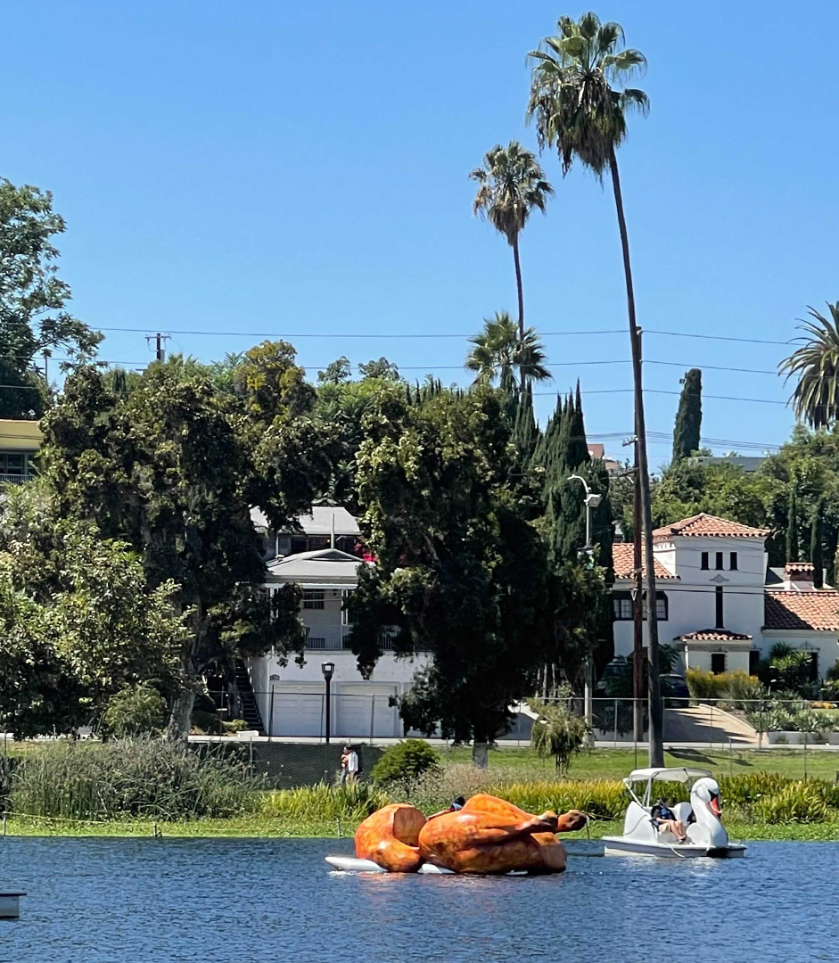 postmates rotisserie chicken paddle boat