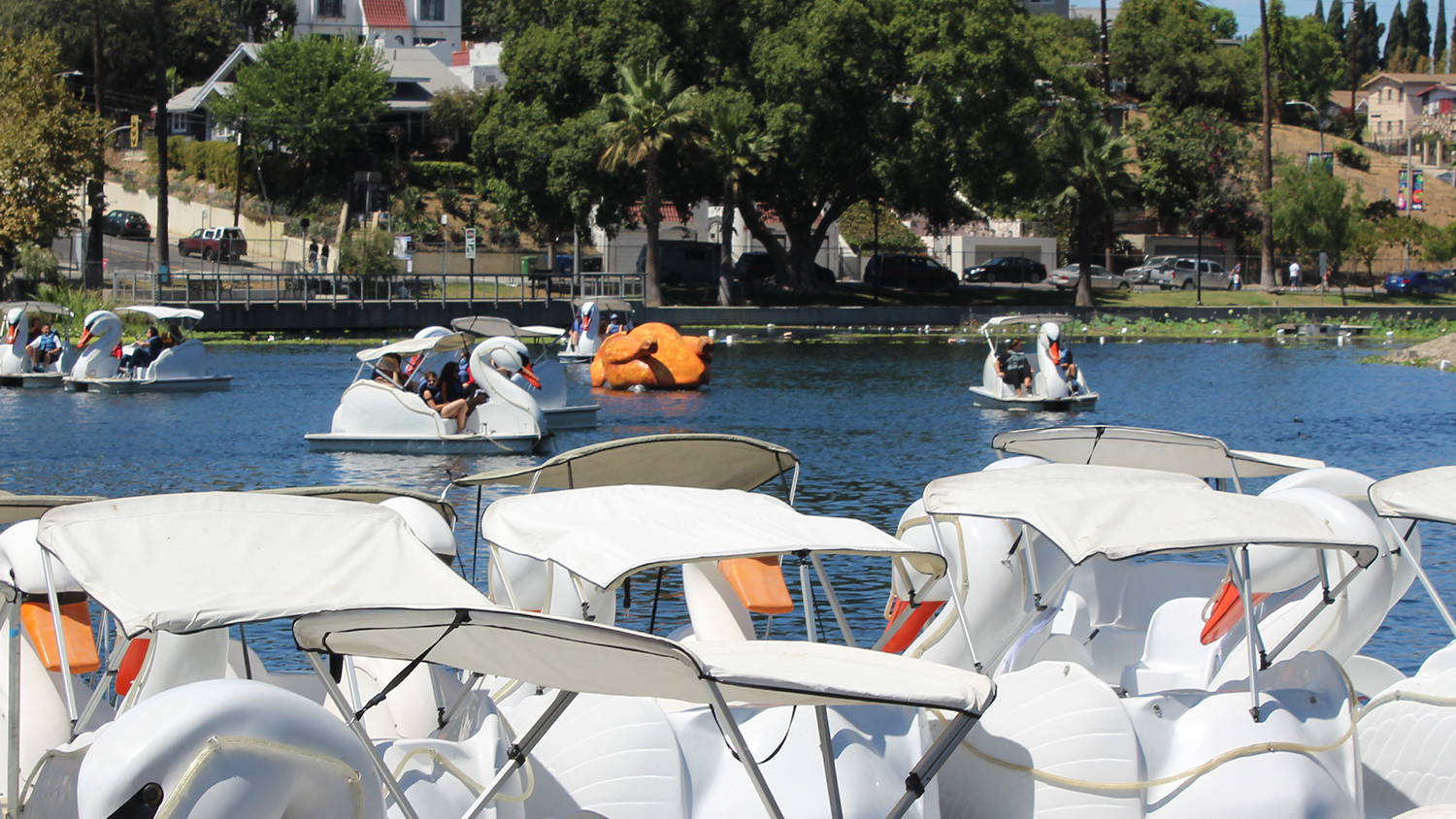 postmates rotisserie chicken paddle boat