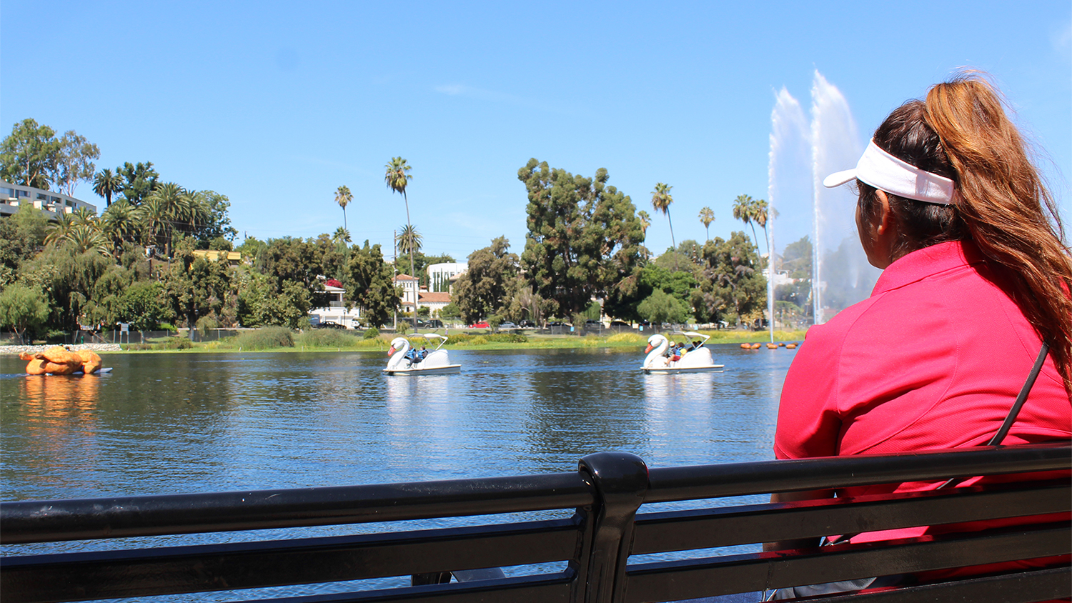 postmates rotisserie chicken paddle boat